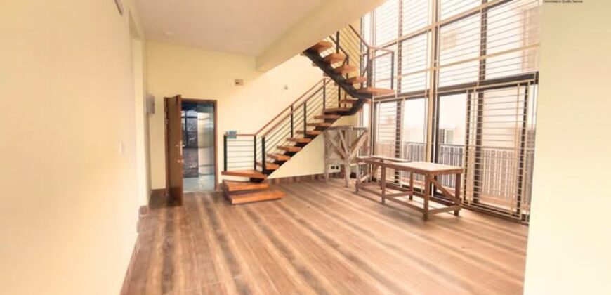 Duplex 4 bedroom Fully New  Flat  For Rent  BashundharaRA block F